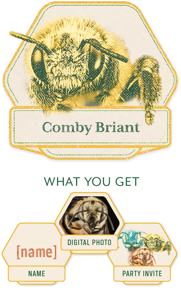 Comby-Briant