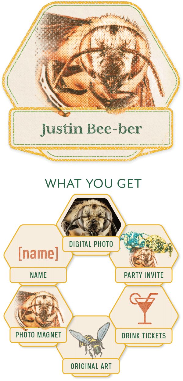 Justin Bee-Ber