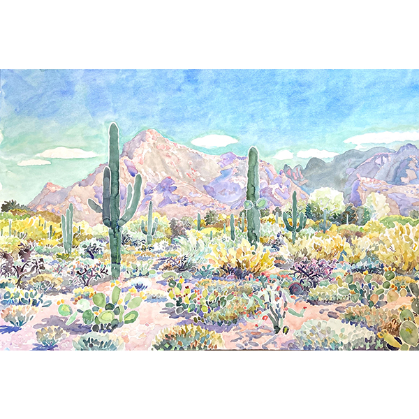 Past Exhibitions - Tohono Chul - Tucson, AZ