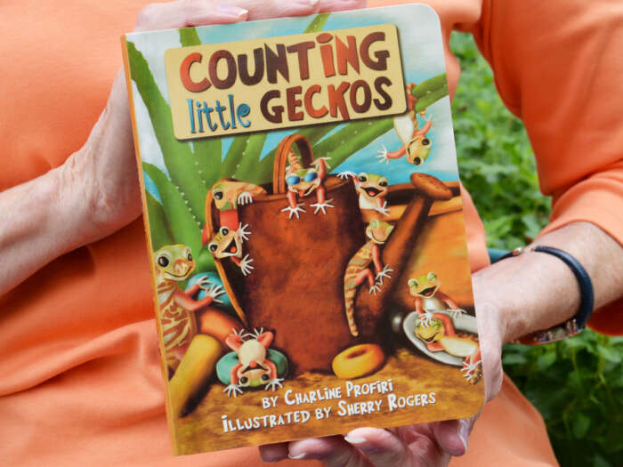 Counting Little Geckos