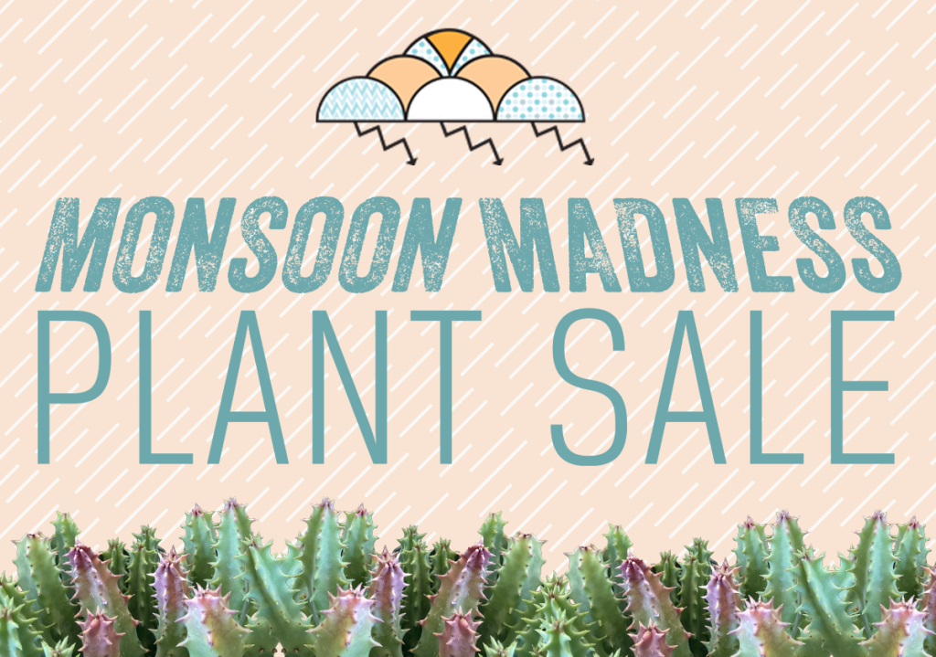 Monsoon Madness Plant Sale Tohono Chul