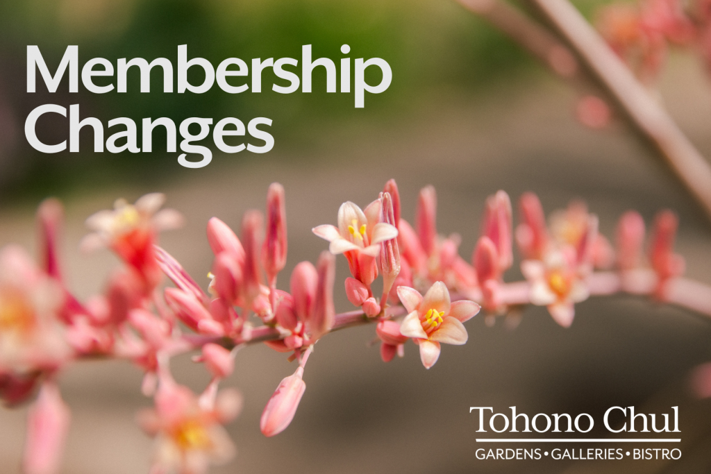 New Memberships Tohono Chul Tucson, AZ