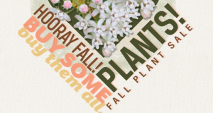 fall plant sale tohono chul 2023