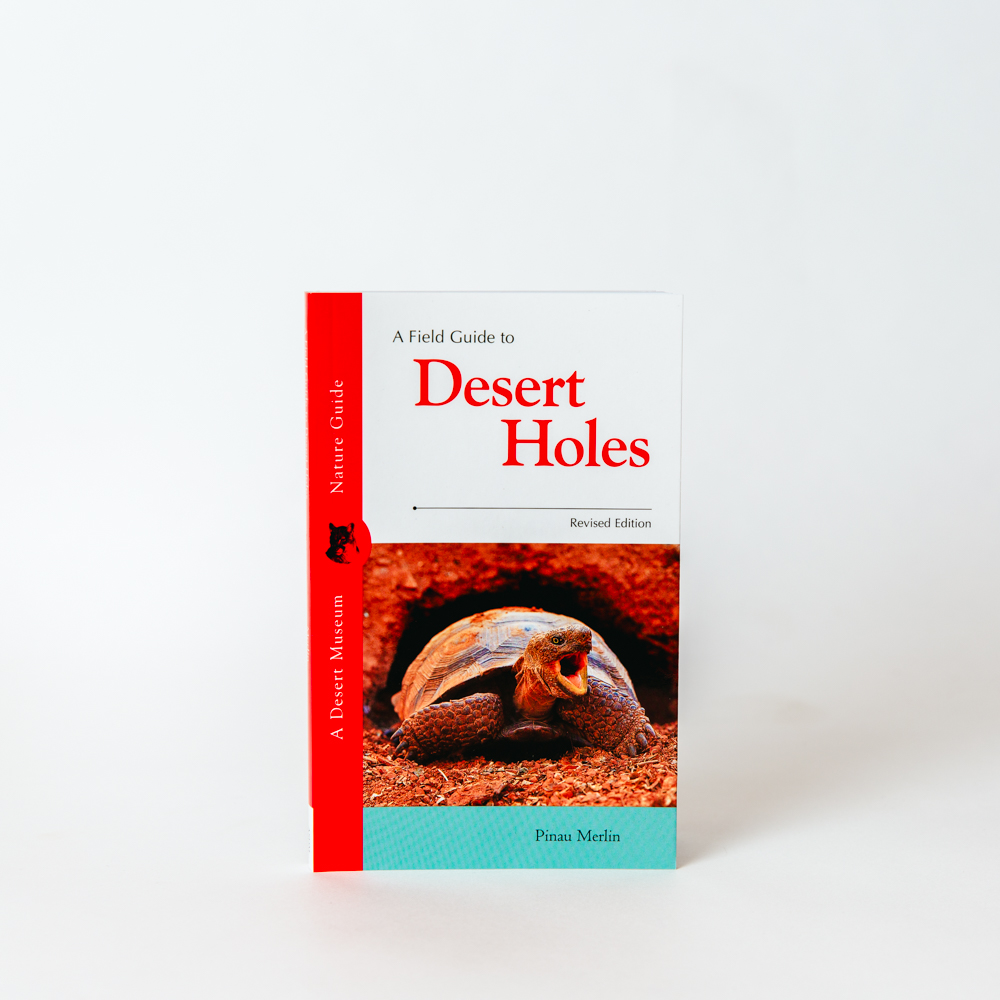A Field Guide to Desert Holes Tohono Chul
