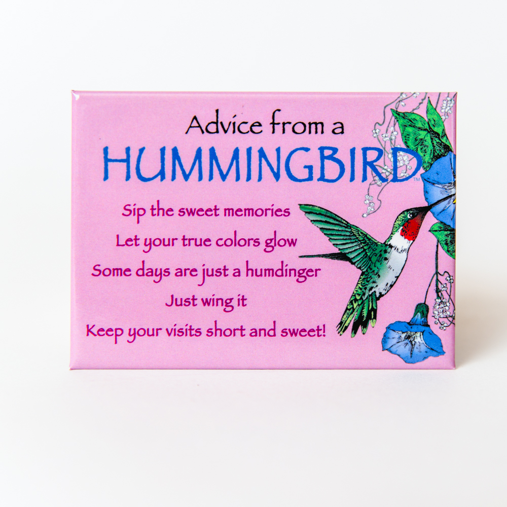 Advice From Humming Bird Magnet