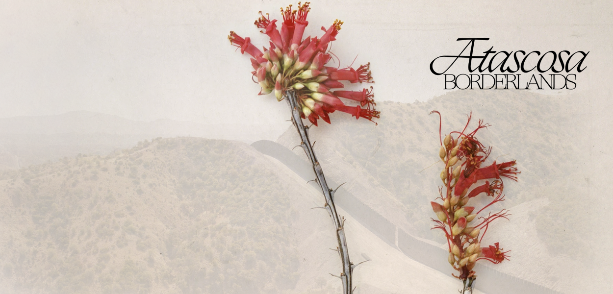 Atascosa Borderlands Tohono Chul