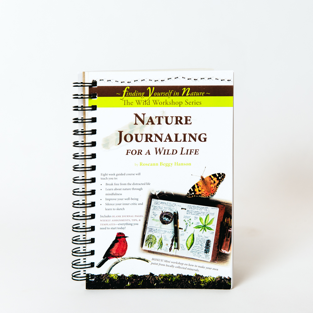 Nature Journaling for a Wild Life Tohono Chul
