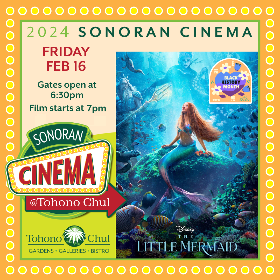 Sonoran Cinema Tohono Chul Little Mermaid