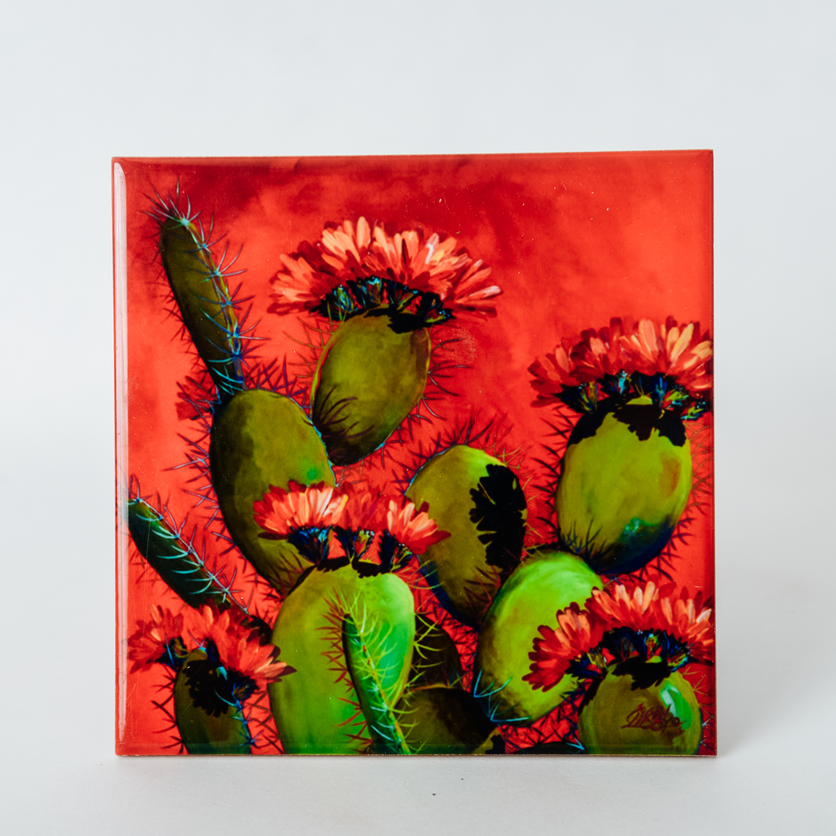Cactus Bloom Ceramic Coaster Tohono Chul