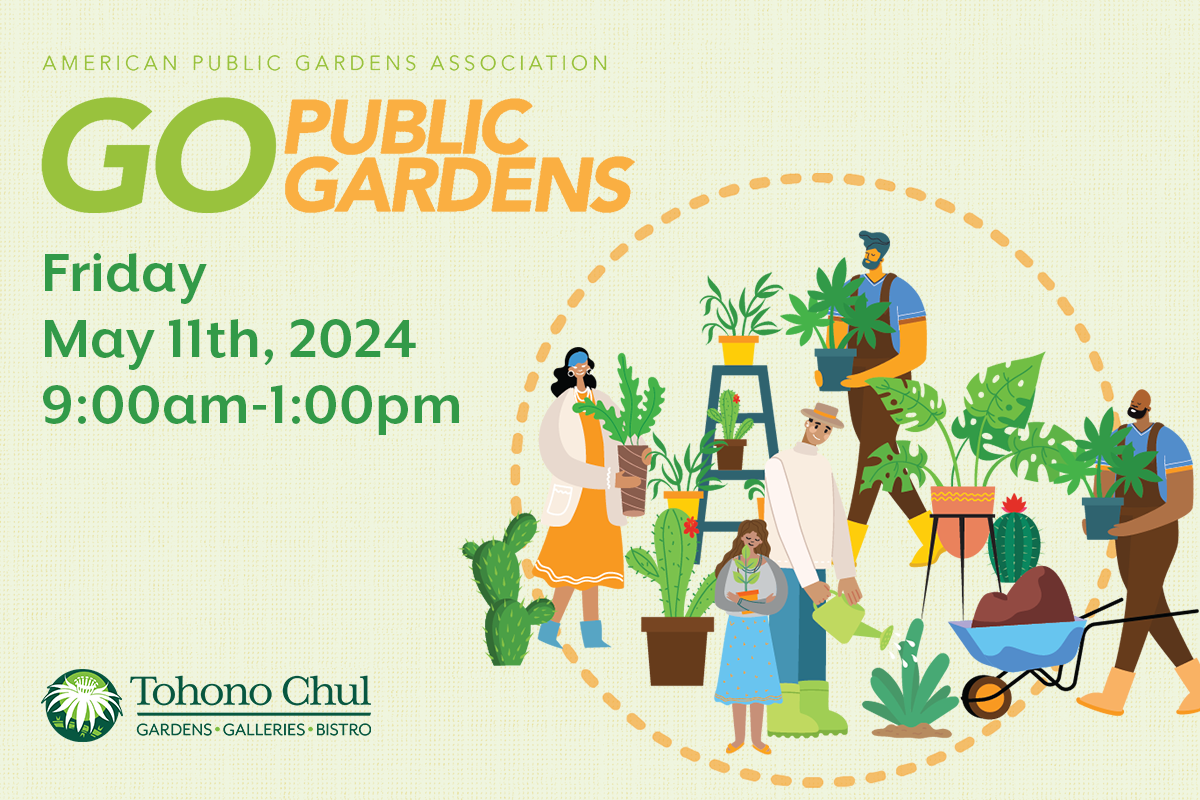 Go Public Gardens Community Day at Tohono Chul
