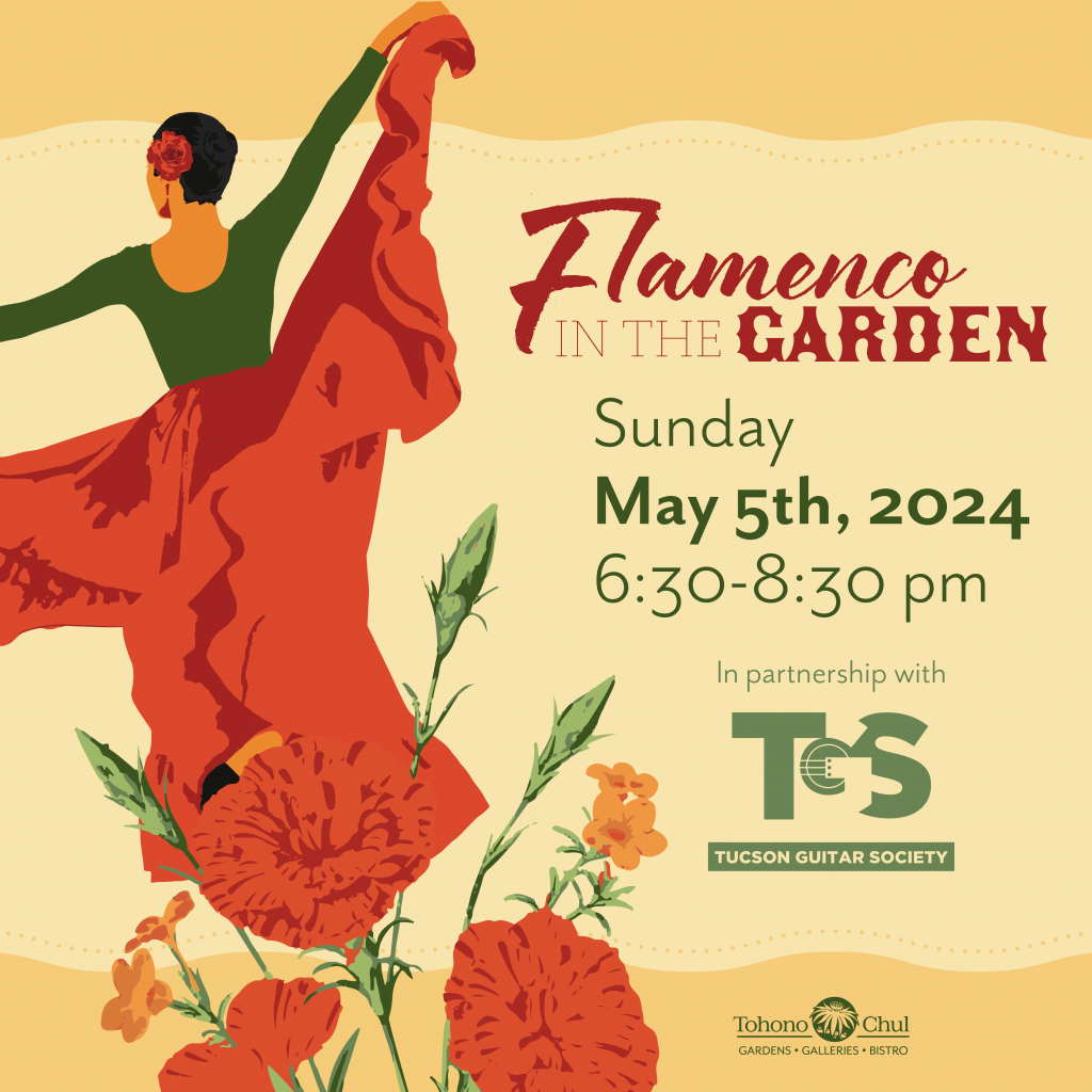 Flamenco in the Garden Tohono Chul