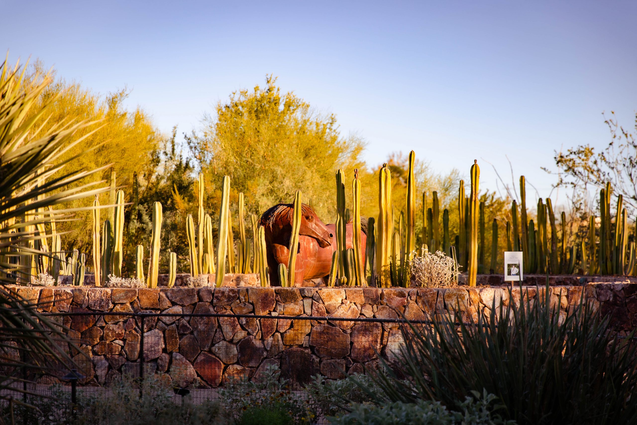 Tohono Chul | Botanical Gardens & Galleries | Tucson AZ