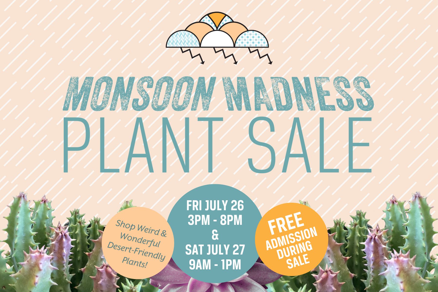 Monsoon Madness Plant Sale Tohono Chul 2024