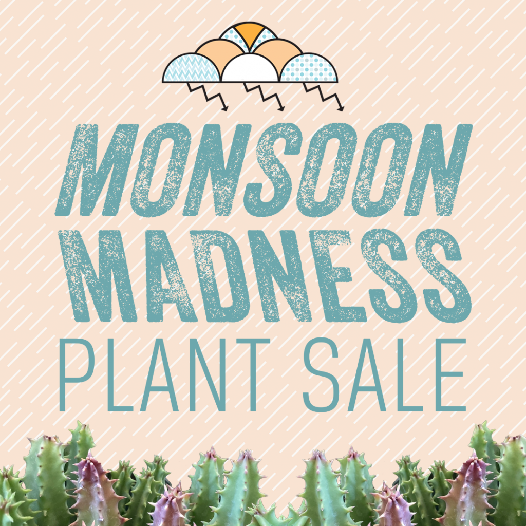 Monsoon Madness Plant Sale Tohono Chul