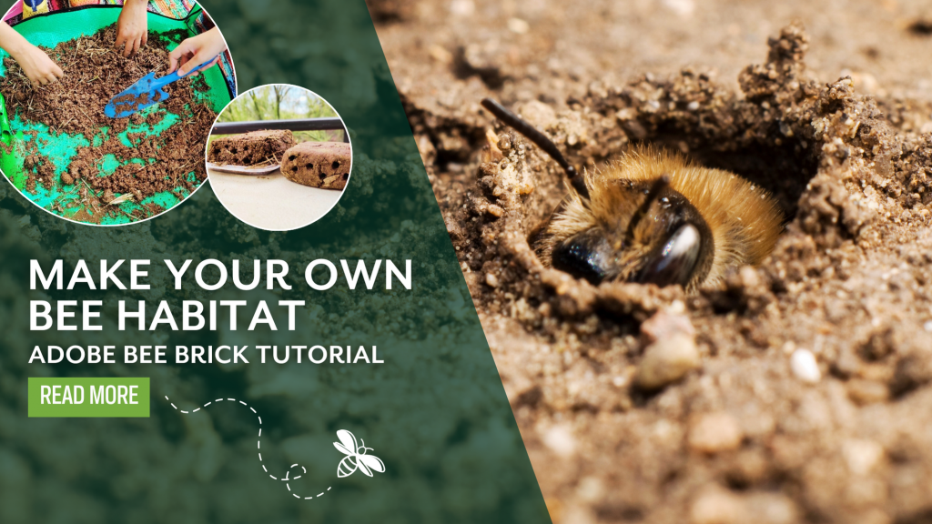 Adobe Brick Bee Tutorial Make your own bee habitat native bees