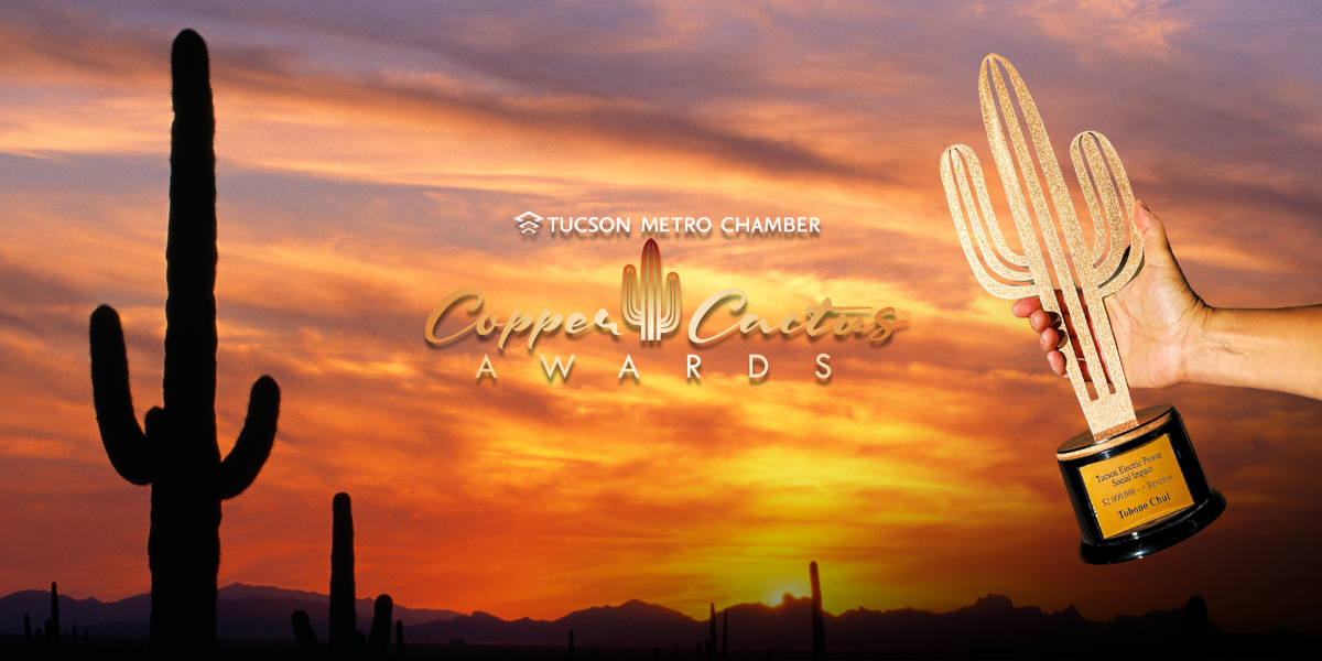 Tohono chul copper cactus awards