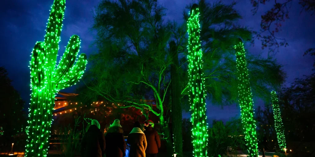 Holiday Nights Tohono Chul