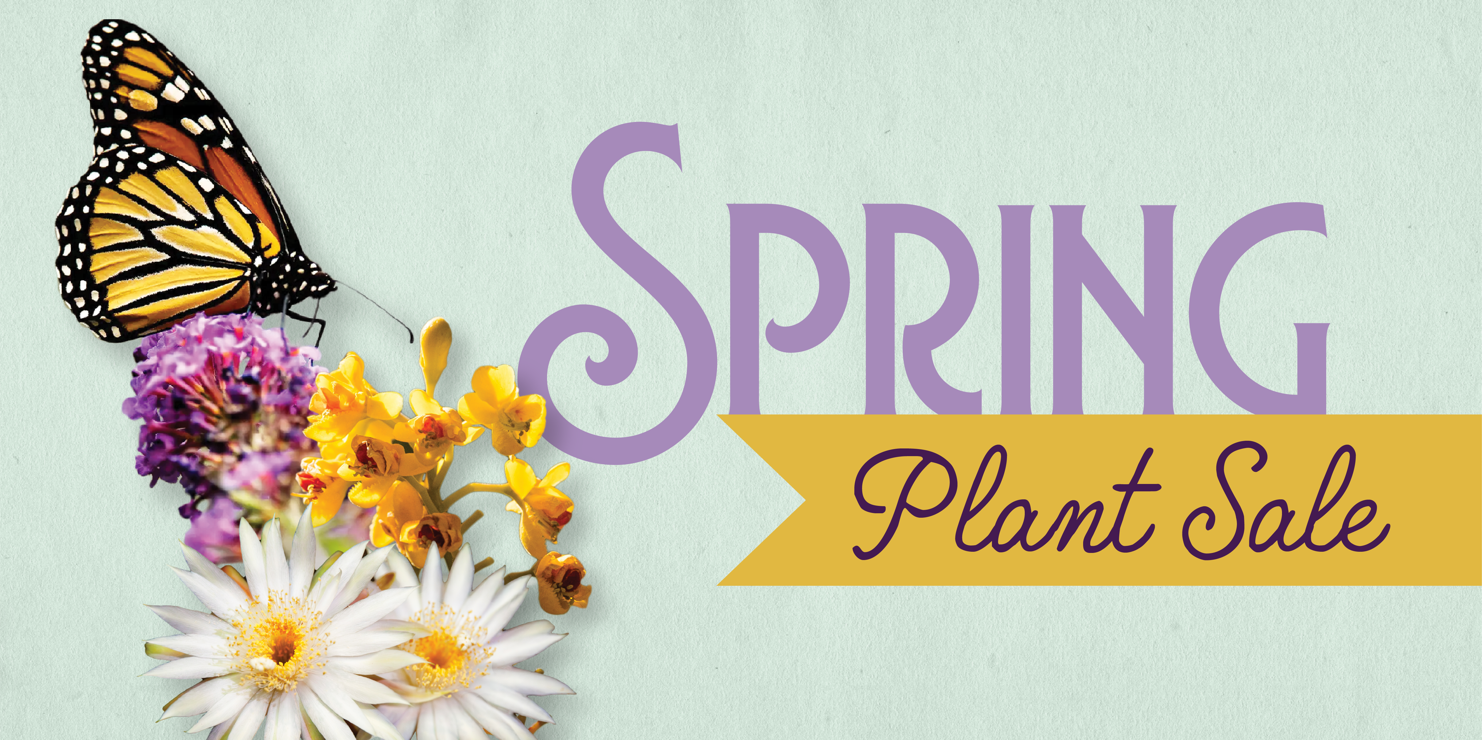 2025 Spring Plant Sale at Tohono Chul