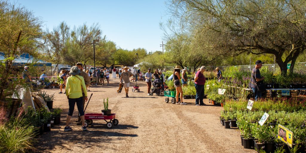 Spring Plant Sale Tohono Chul 2025