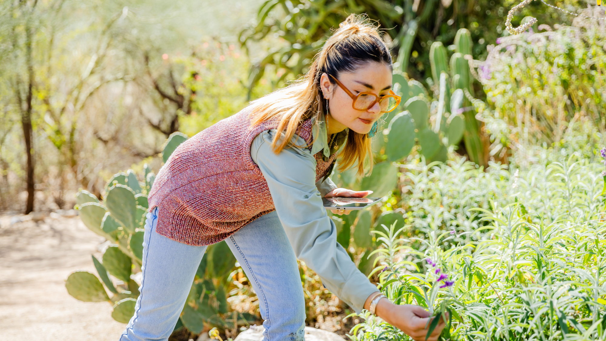 Help Us Grow the Adaptive Arboretum Garden
