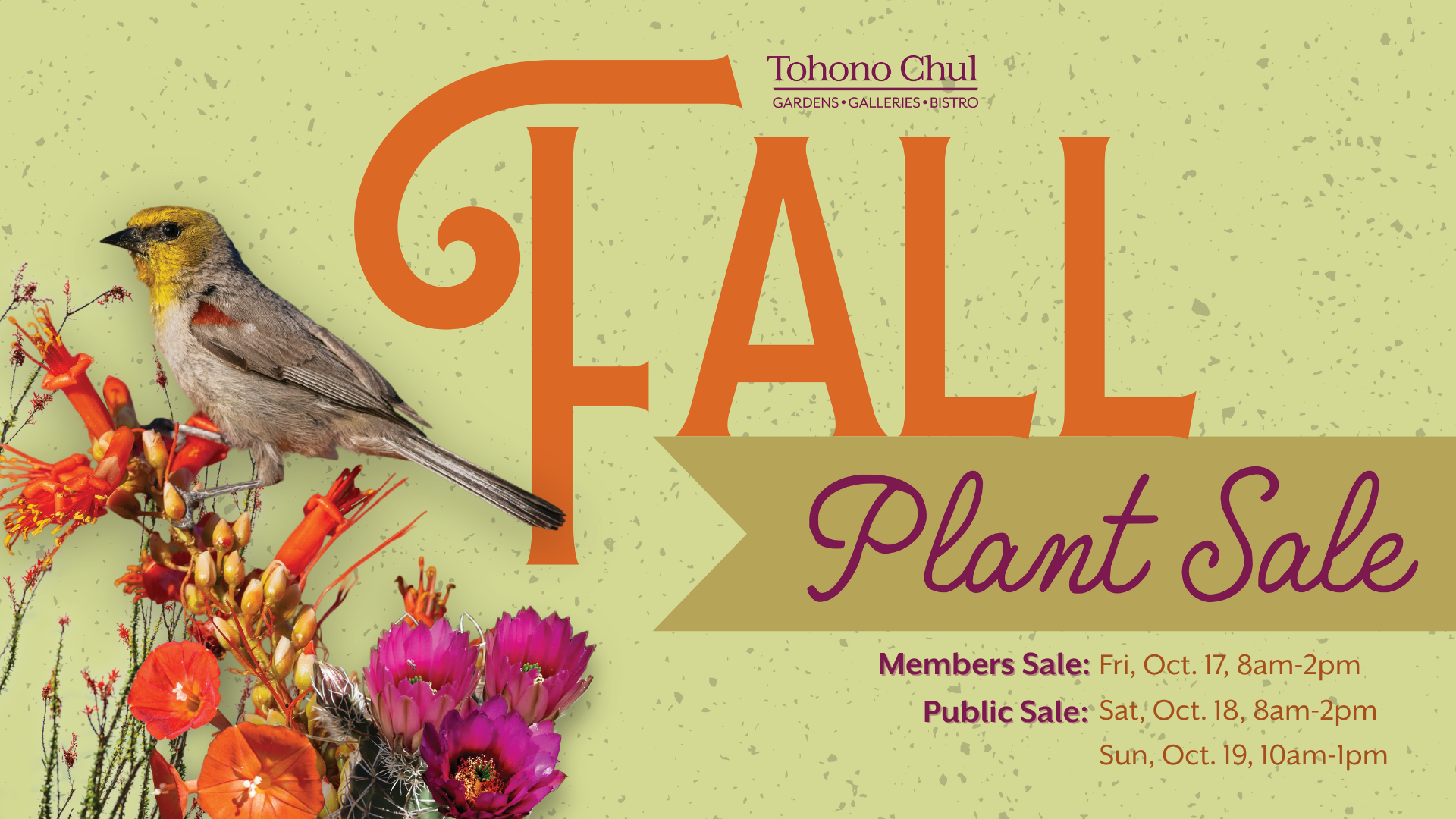 Fall Plant Sale at Tohono Chul