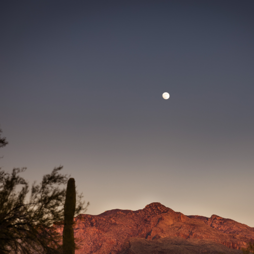 Terruño: Presenting Sponsor