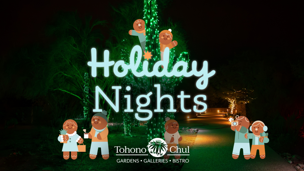 Holiday Nights Tohono Chul