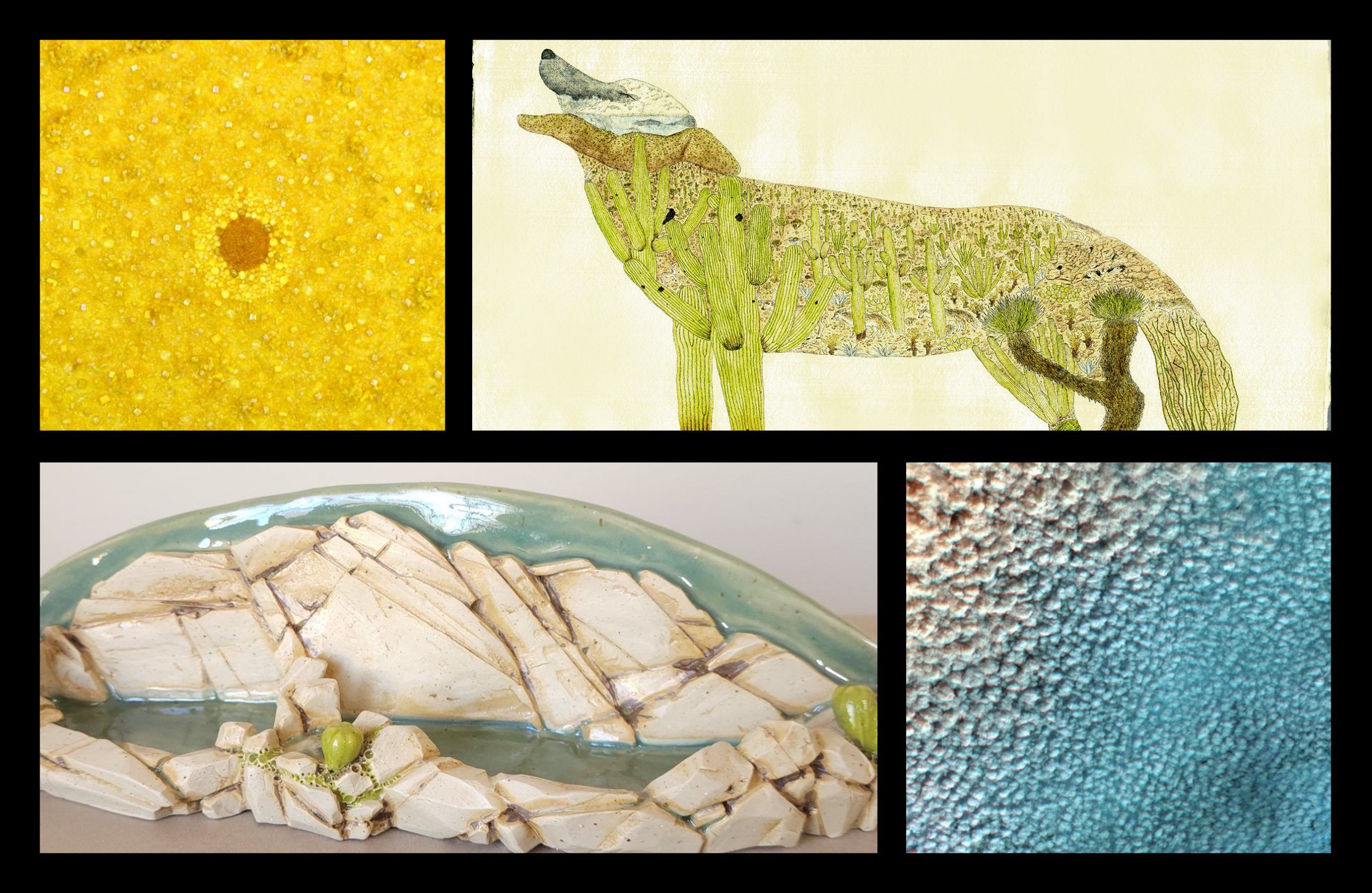 SONORAN HOURGLASS_Day1